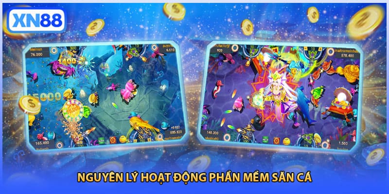 Nguyên lý hoạt động phần mềm săn cá