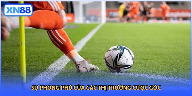 Sự phong phú của các thị trường cược góc